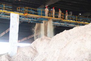 Read more about the article Filter Bags for Chemical Fertilizer Plants